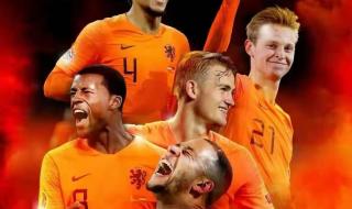 荷兰世界杯阵容2022